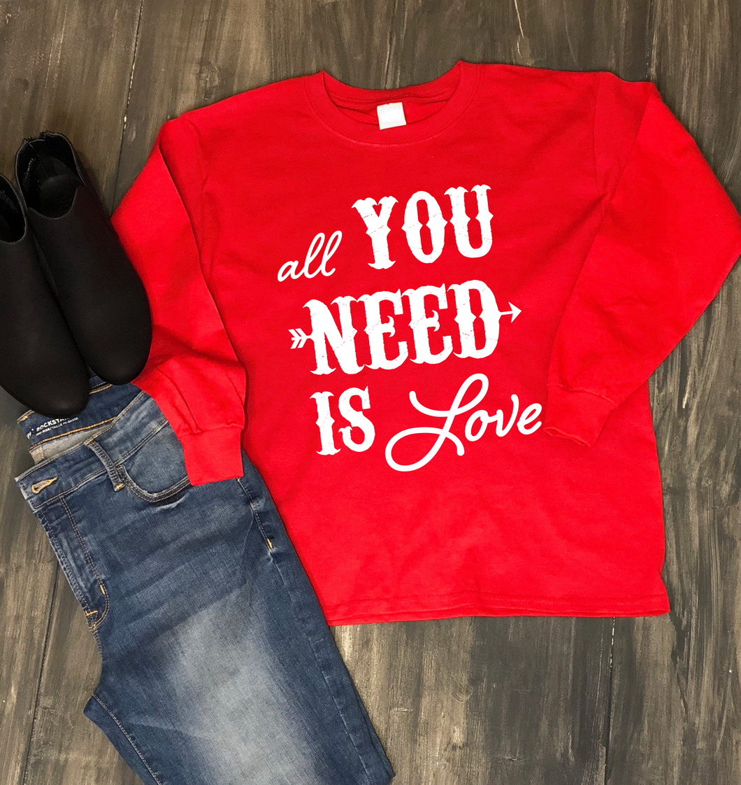 Valentine's Day Shirt: All You Need is Love